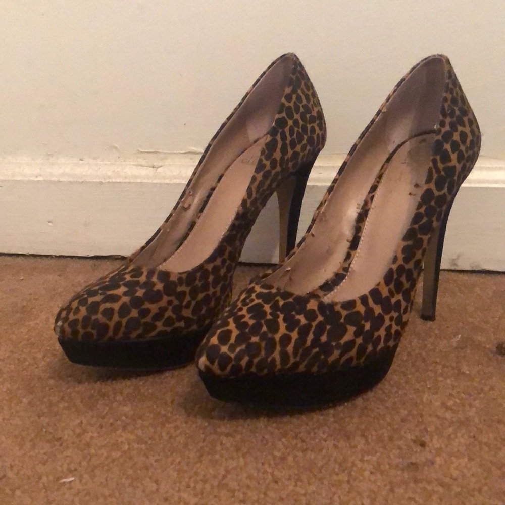 Vince Camuto